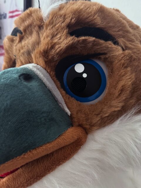 Guess who‘s back? #maskottchen #mascot #costume #bird #bestmotivation @sportfreundesiegen