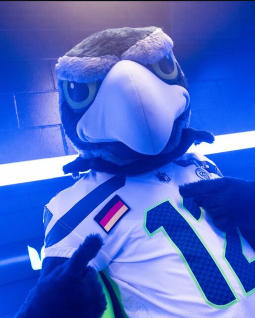 Happy Weekend 🇺🇸🇩🇪 /w our mascot BAM @seahawks @seahawksdeutsch